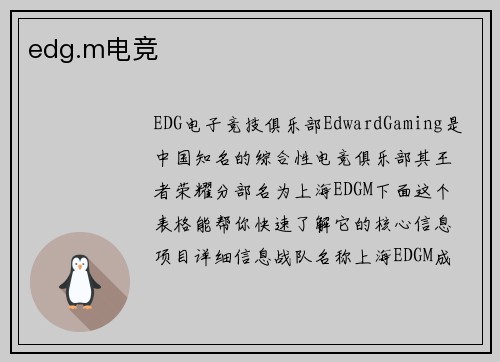 edg.m电竞